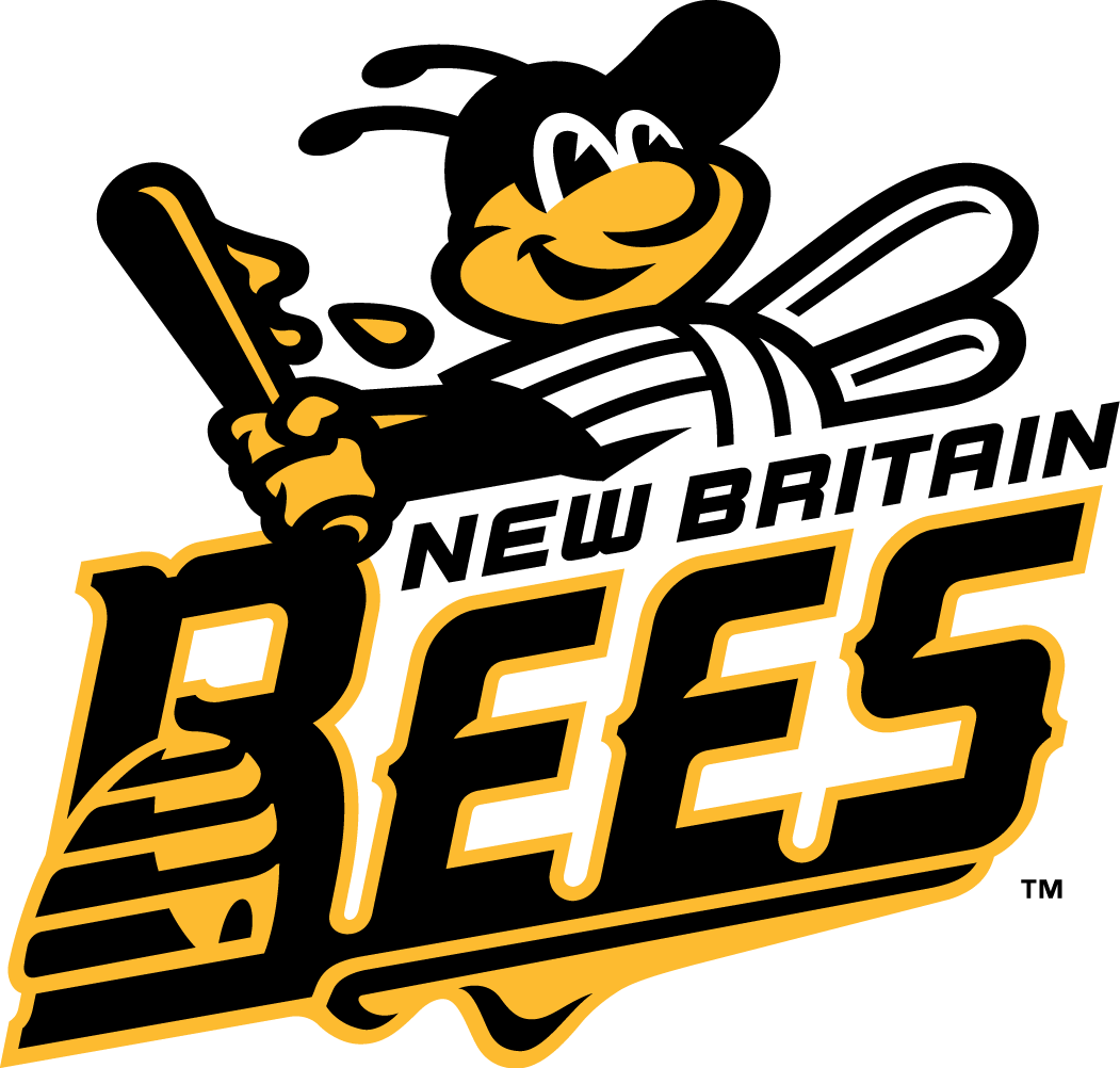 New Britain Bees 2016-Pres Primary Logo iron on transfers for clothing
